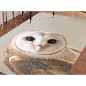 Owl Photo <b>Rug</b>: Non-Slip Accent <b>Rug</b>, Office Decor,<b>Chenille</b> <b>Rug</b> - Product Image 1