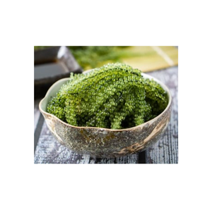 Algues Lato / Raisins de mer Latok / Algues, Raisins de mer du Vietnam pour l'exportation - Raisins de mer déshydratés - Product Image 1