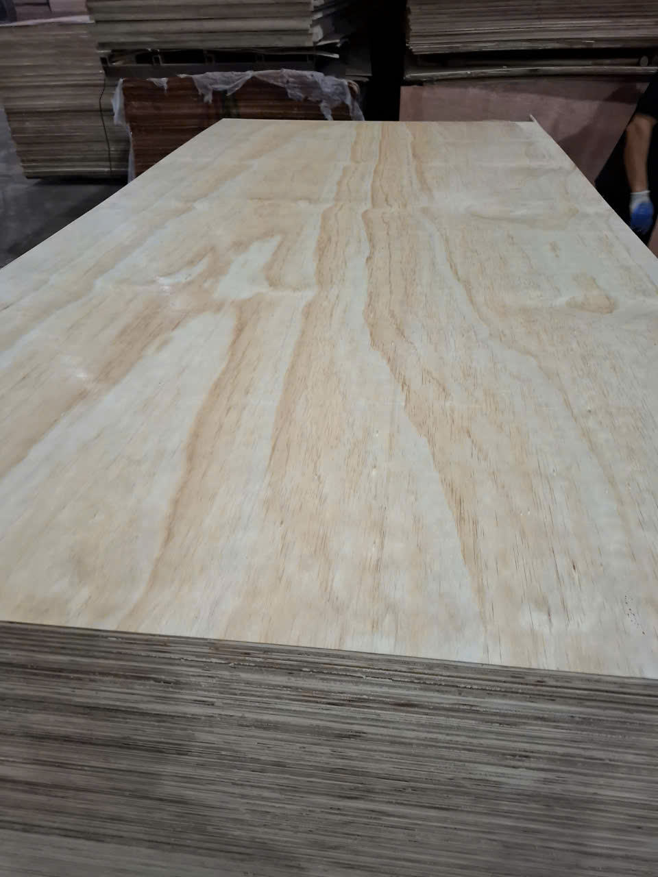 สีน้ำตาล