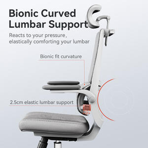 <span class=keywords><strong>SIHOO</strong></span> <span class=keywords><strong>silla</strong></span> ejecutiva ergonómica M59DSA 3D ajustable PP <span class=keywords><strong>silla</strong></span> patas <span class=keywords><strong>silla</strong></span> de estudio - Product Image 2