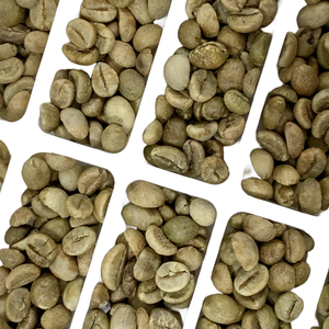 Café vert Robusta & Arabica de haute qualité S18 Qualité d'exportation directe de la ferme Emballage en vrac propre et séché - Product Image 6