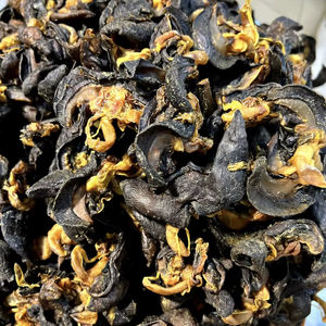 Mejor Precio con Descuento, Caracoles Gigantes Africanos Frescos Procesados de Congo (para Cocinar), Concha FD, 24 Meses de Vida Útil, Almacenamiento en Frío y Seco - Product Image 4