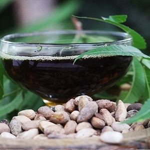 Huile de graines de neem Huile naturelle traitée à froid Huile de noyau de neem Convient aux formulations Agriculture et diverses applications de produits - Product Image 4