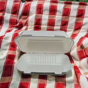 Boîte à lunch en bagasse jetable facile 9x6 à clapet compostable biodégradable écologique micro-ondable recyclable - Product Image 4