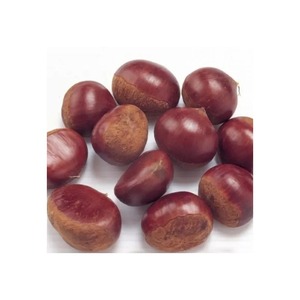 เมล็ดเกาลัดสดแบบออร์แกนิกปอกเปลือก - Product Image 6