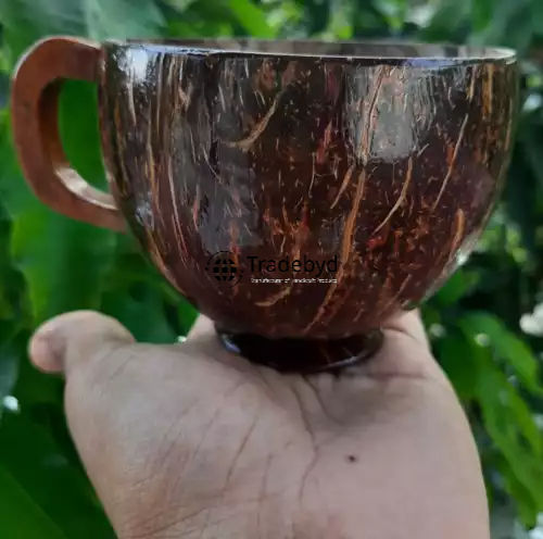 Available in Different Colors