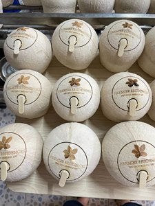 Qualité supérieure de jeune noix de coco fraîche RL Produit de qualité de marque d'approvisionnement du grand marché d'exportation de fabrication - Product Image 5