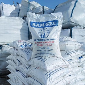 Sal de Mesa Fina Egipcia en Polvo |   Bolsa de Polietileno de 25 kg |   Yodado Refinado |   100% de Grado Alimenticio |   Certificado HACCP |   99.8% de Pureza |   Premium - Product Image 1