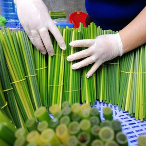 Pailles d'herbe verte de haute qualité du VIETNAM - Product Image 5