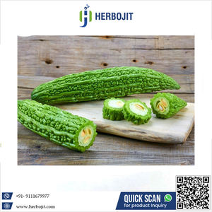 En Çok Satan Harika Tedarikçi Ürünü Saf Doğal ve Taze Karela Yemeklik İçin En Düşük Fiyata Mevcut - Product Image 6