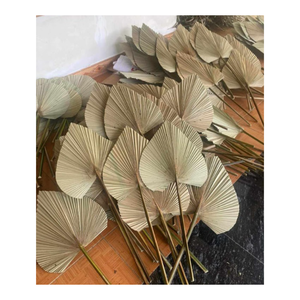 Hoja de bambú Handfan en Vietnam - Craft Color natural Bamboo Fan Summer Hand Palm Leaf Straw Cane Rattan Woven Fans 2024 - Product Image 1