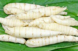 Amidon de Marante Biologique du Vietnam au Meilleur Prix Ingrédient Naturel pour les Usines Alimentaires - Product Image 2