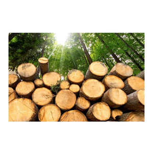 Pine <b>wood</b> high Quality Hot Sale Price Kay Eco <b>Logs</b> <b>Wood</b> Briquettes White Ash Kay Briquettes, Long Lasting <b>Burning</b> <b>Wood</b> - Product Image 3
