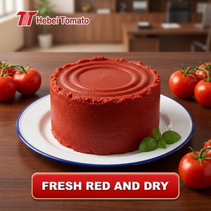 2,2 kg + 70 g 28-30% Brix Concentré de <span class=keywords><strong>Tomate</strong></span> en Conserve <span class=keywords><strong>Double</strong></span> Concentré Halal Vente en Gros Usine pour l'Afrique - Product Image 3