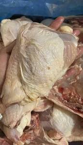 เนื้อไก่แช่แข็ง IQF แท้ 100% ได้รับการรับรองฮาลาล อุณหภูมิ 40 องศาเซลเซียส อายุการเก็บรักษา 12 เดือน - Product Image 3