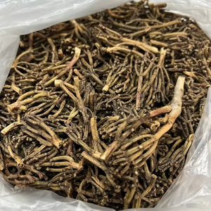 Tallos de clavo de Ceilán de grado de la mejor calidad 100% naturales y puros secos y procesados crudos para venta al por mayor en Sri Lanka - Product Image 1