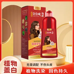 500ml Bubble Hair Dye