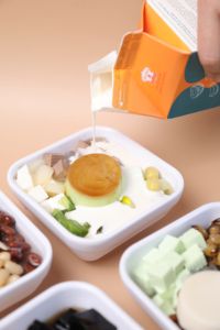 Venta caliente de alta calidad HALAL crema no láctea OEM queso de coco postre crema café y té con leche 500G buen precio - Product Image 4