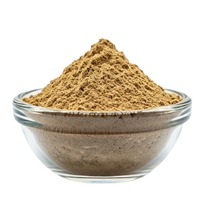 Poudre d'extrait pur de champignon crinière de lion, complément naturel pour stimuler le cerveau, la mémoire, la concentration, la santé cognitive, la clarté mentale et le système immunitaire