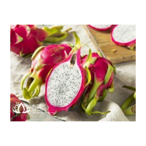 La mejor fruta de dragón fresca de Farm Origin Vietnam al mejor precio de exportación con precio competitivo del proveedor de Vietnam Blue Lotus - Product Image 5