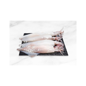 Premium frozen illex squid available for wholesale at factory direct rate - Product Image 3
