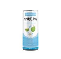 Groothandel op maat gemaakte private label alcoholvrije gearomatiseerde NFC tropische fruitcocktail sprankelende vitamine-energie fruit- en groentenmix