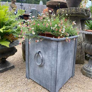 Cubos de metal galvanizado vintage utilizados como soportes de plantas únicos - Product Image 6