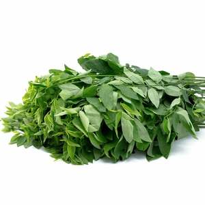 Hojas de Katuk Secas, Hoja Dulce Natural AKINA - Product Image 5