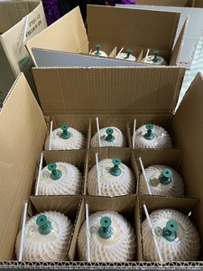 Trimmed <b>fresh</b> young <b>coconut</b> Vietnam craft for serving clear juice and refreshing beverages in traditional oriental dining sets - Product Image 3
