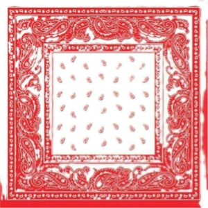 Vente en gros de bandana foulard en coton polyester doux avec usage quotidien foulard bandana carré en coton à séchage rapide foulard bandana en coton bon marché - Product Image 5