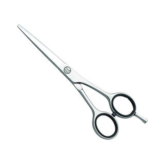 Ciseaux de coupe de cheveux de haute qualité rasoir tranchant lame droite ciseaux de coiffure de beauté en acier inoxydable - Product Image 1