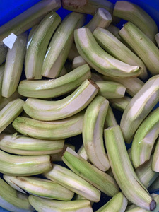 POLVO DE PLÁTANO VERDE DESHIDRATADO |   GRAN CANTIDAD PRECIO DE FÁBRICA - Product Image 6