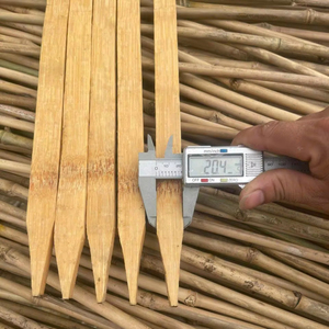 Strong Natural Bamboo Stake 1m Length for Vine, <b>Tomato</b> and Plant <b>Support</b> - Product Image 1