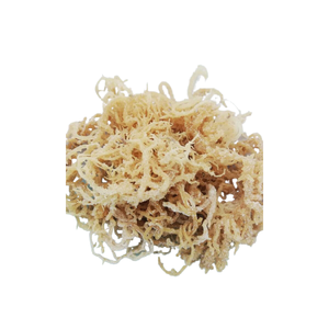 Secado Seamoss Irish Sea Moss Wild Crafted materia prima/Eucheuma Cottonii algas con precio barato para exportar - Product Image 3