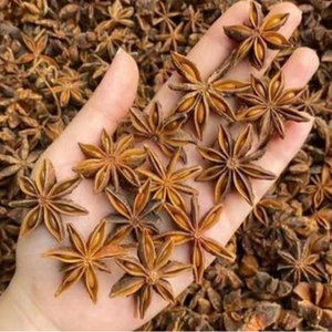 Anís Estrellado Fresco, Crudo y Seco de Vietnam con la Mejor Calidad y Precio Competitivo - Product Image 1