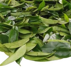 Hojas de Guanábana Secas - Añade Sabor Natural a tus Platos - Product Image 3