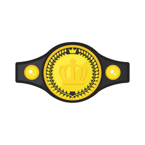 Ceinture de championnat d'entraînement professionnel léger et personnalisé OEM pour le taekwondo et la lutte MMA boxe-Matériau en alliage à taille haute - Product Image 2