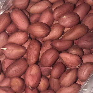 Dinh dưỡng cao đậu phộng hữu cơ protein hạt giống Jumbo đậu phộng lạc nguyên hạt nhân đậu phộng - Product Image 1