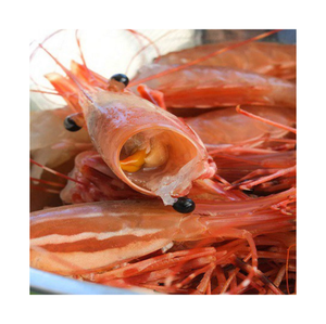 PROVEEDOR DE VIETNAM/CÁSCARA DE CAMARONES DE ALTA CALIDAD PARA ALIMENTACIÓN ANIMAL | MATERIAL NATURAL - Product Image 1