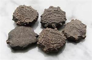 GRAINES DE GAC NATURELLES PURES À PARTIR DE FRUITS GAC MATURES POUR UN SOUTIEN IMMUNITAIRE ET UNE FONCTION DE BIEN-ÊTRE DU CORPS - Product Image 2