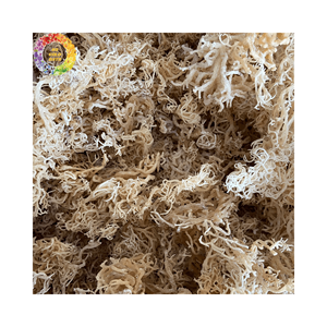 Venta al por mayor de musgo irlandés seco sin sal, musgo de mar dorado para gel de musgo marino, algas silvestres Chondrus Crispus, embalaje a granel de 25kg - Product Image 5