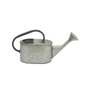 Luxury Watering Can Galvanized Simple Metal Water Can creative vintage water <b>cane</b> <b>garden</b> logo print watering can - Product Image 3