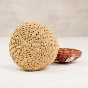 Cesta de Almacenamiento de Coco Tejida a Mano con Tapa para Hongos - Product Image 2