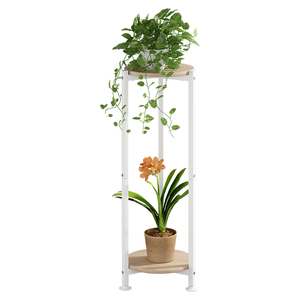 Living Room Balcony Garden Patio Multiple <strong>Plants</strong> Display Rack 2 Tier Indoor Outdoor Tall <strong>Corner</strong> <strong>Plant</strong> Shelf Metal Flower Stands - Product Image 2