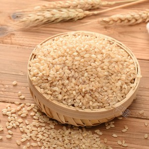 Aceite portador de coco puro a granel de fábrica, masaje corporal de belleza, extracto Natural de grado Spa, cuidado del cabello de la piel, Exportación de etiqueta privada OEM - Product Image 1