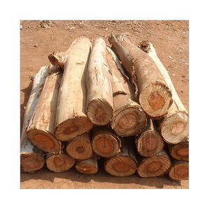 ไม้ฟืน - Product Image 2