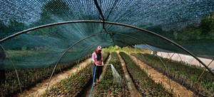 Redes de Sombra de Alta Calidad - Product Image 2