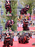 Danse du lion chinois Taille normale chinoise Performance de la Chine Culture chinoise Danse du lion Danse du lion Deux personnes Performance adulte