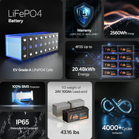 LiTime EU Stock 25.6V 100Ah Garansi 5 Tahun 2560Wh Langsung dari Pabrik LiFePO4 Lithium Deep Cycle Solar UPS Marine RV Battery