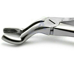 Forceps d'extraction manuels professionnels en acier inoxydable réutilisables pour instruments de chirurgie dentaire - Product Image 5